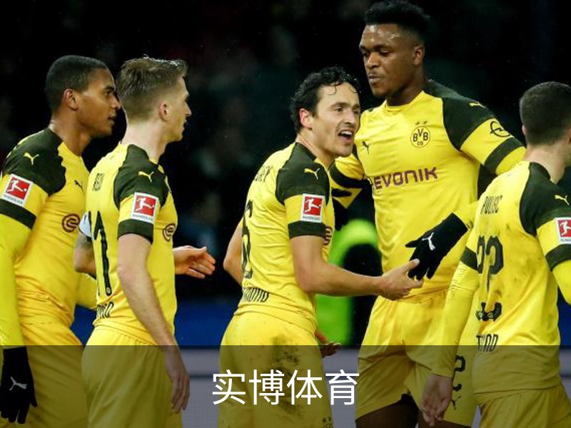 关于实博体育